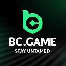 Discover the Thrills of BC.Game Online Crypto Casino