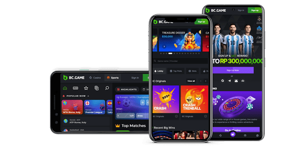 Explore the Exciting World of BC GAME Online Casino