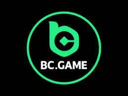 Understanding the BC.Game Deposit Process A Comprehensive Guide 1701045253