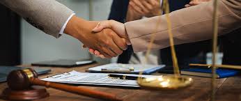 Defending Dignity The Role of Human Rights Attorneys 1363501098