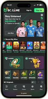 The Ultimate Guide to BC.Game Betting App