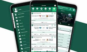Complete Guide to BetWinner Registration -838631870