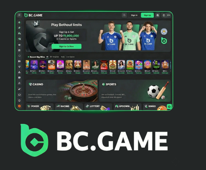 Exploring the Wonders of BC.Game Online Platform
